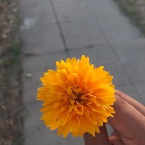 Meet your Posher, Arely 💕